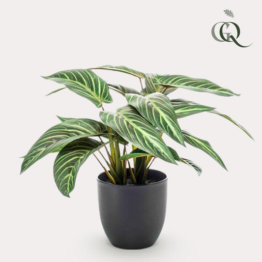 Calathea Zebrina Kunstpflanze - 38 cm - Zimmerpflanze - künstliche Pflanzen wie echt - grüne-wurzel