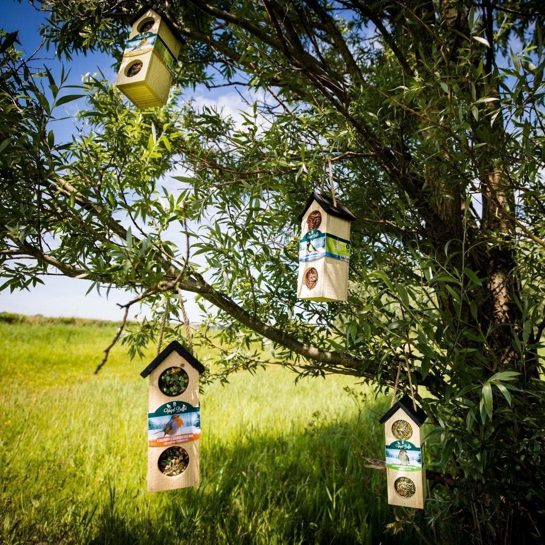 Vogel-Buffet | Chalet Futterhaus Vogelhaus | 500 Gramm - Boomklevers - grüne-wurzel