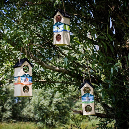 Vogel-Buffet | Chalet Futterhaus Vogelhaus | 500 Gramm - Meesjes - grüne-wurzel