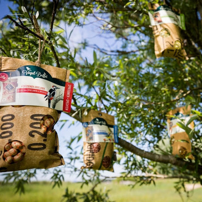 Vogelbuffet | Lumpenfutter für Spatzen & Amseln | 300 Gramm - grüne-wurzel